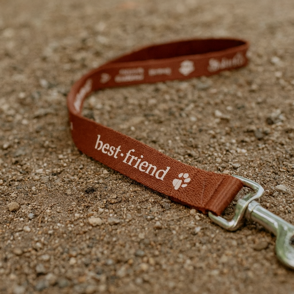1.4M Dog Leash 19mm